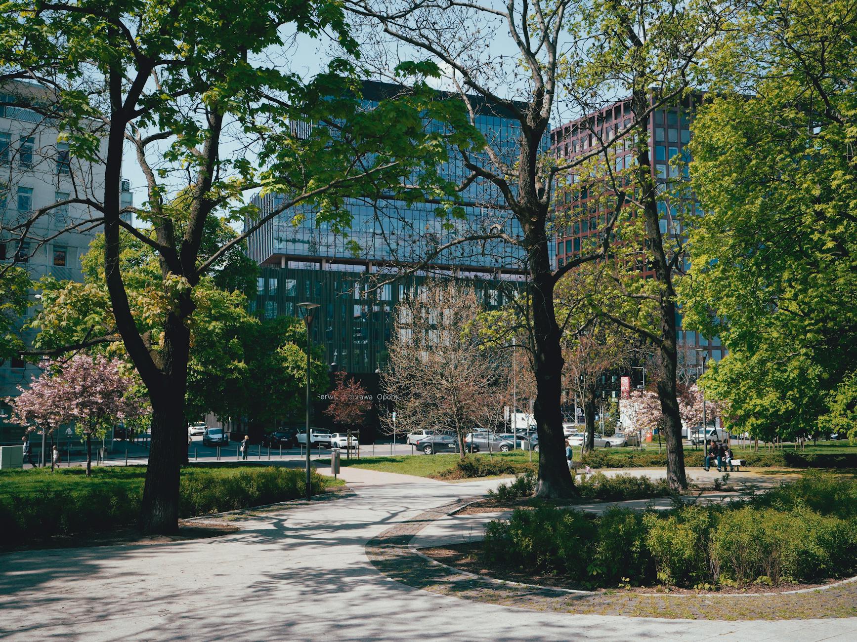 Wizualizacja odnowionego parku w Gdyni Śródmieście po rewitalizacji