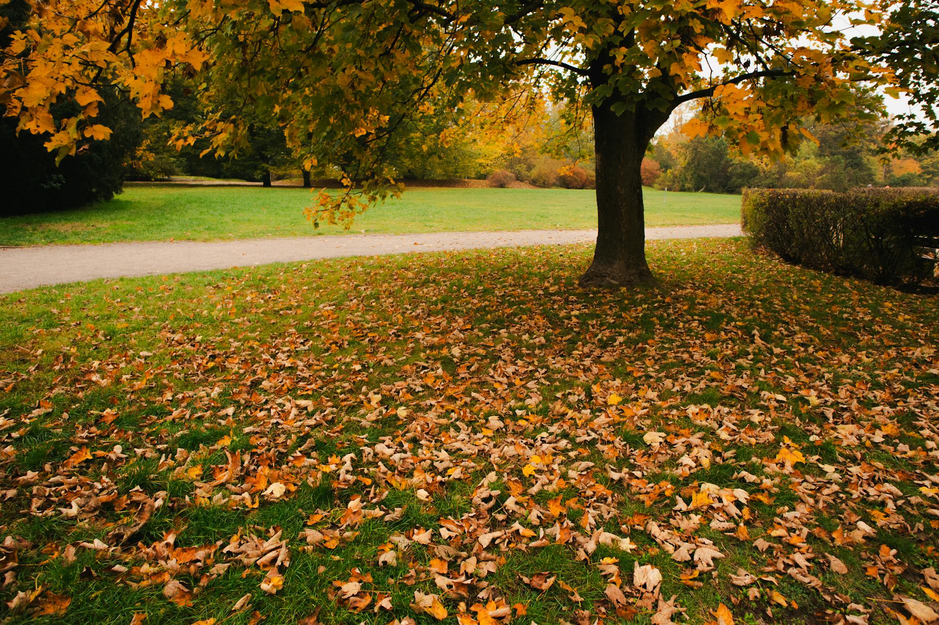 Arka Gdynia walczy o utrzymanie: Pozycja w strefie spadkowej i nadzieje trenera