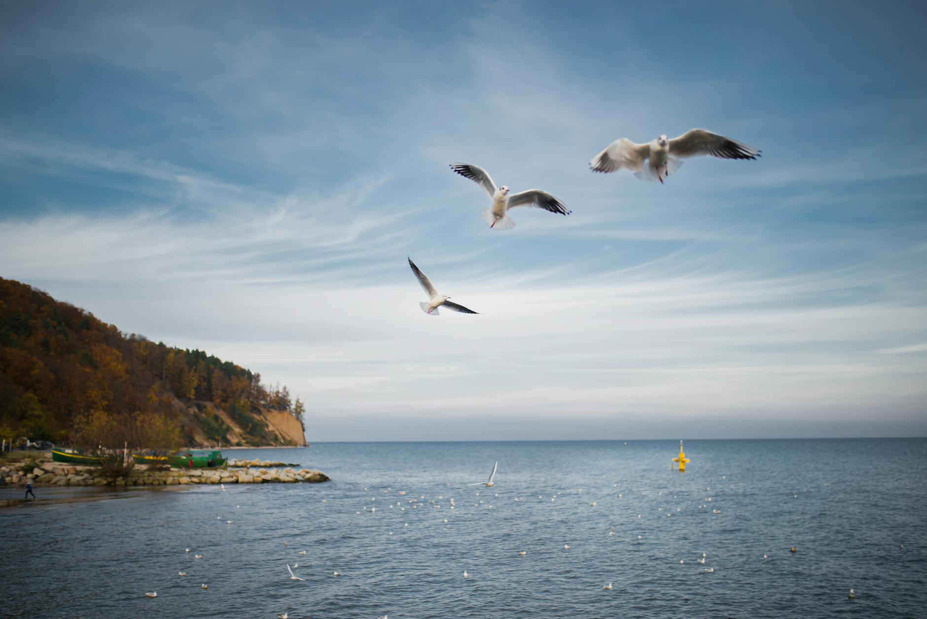 Piłkarze Arki Gdynia na boisku, obok grafika z informacją o transferach i meczu koszykówki